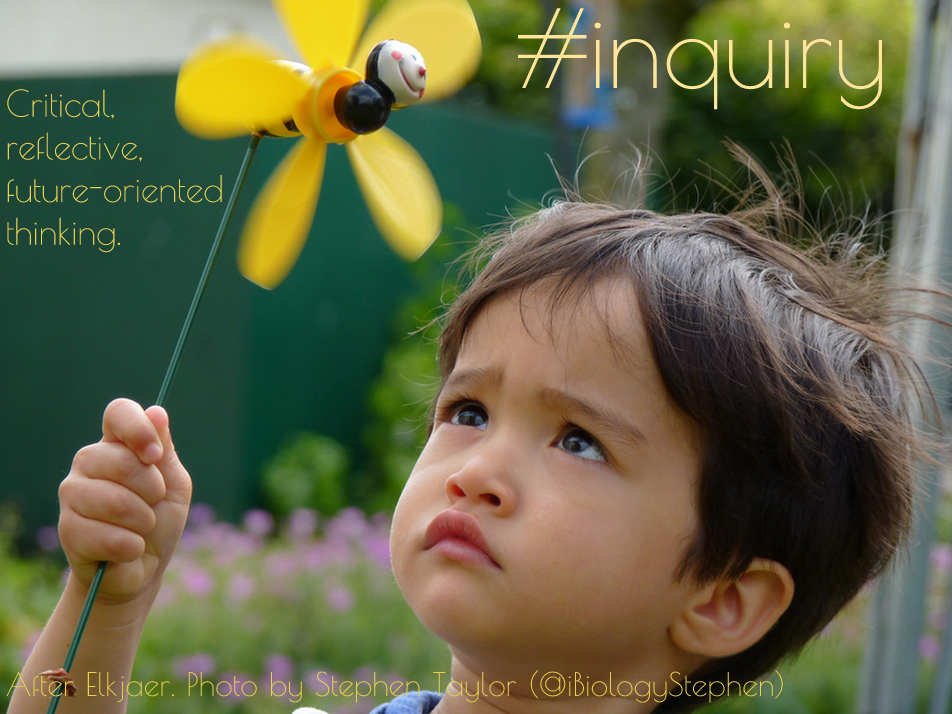 Inquiry_Elkjaer_iBiologyStephen