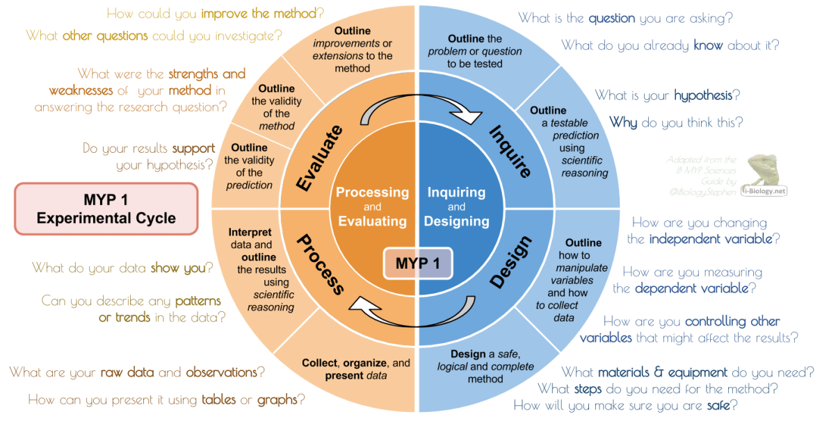 myp1-experimental-cycle-diagram